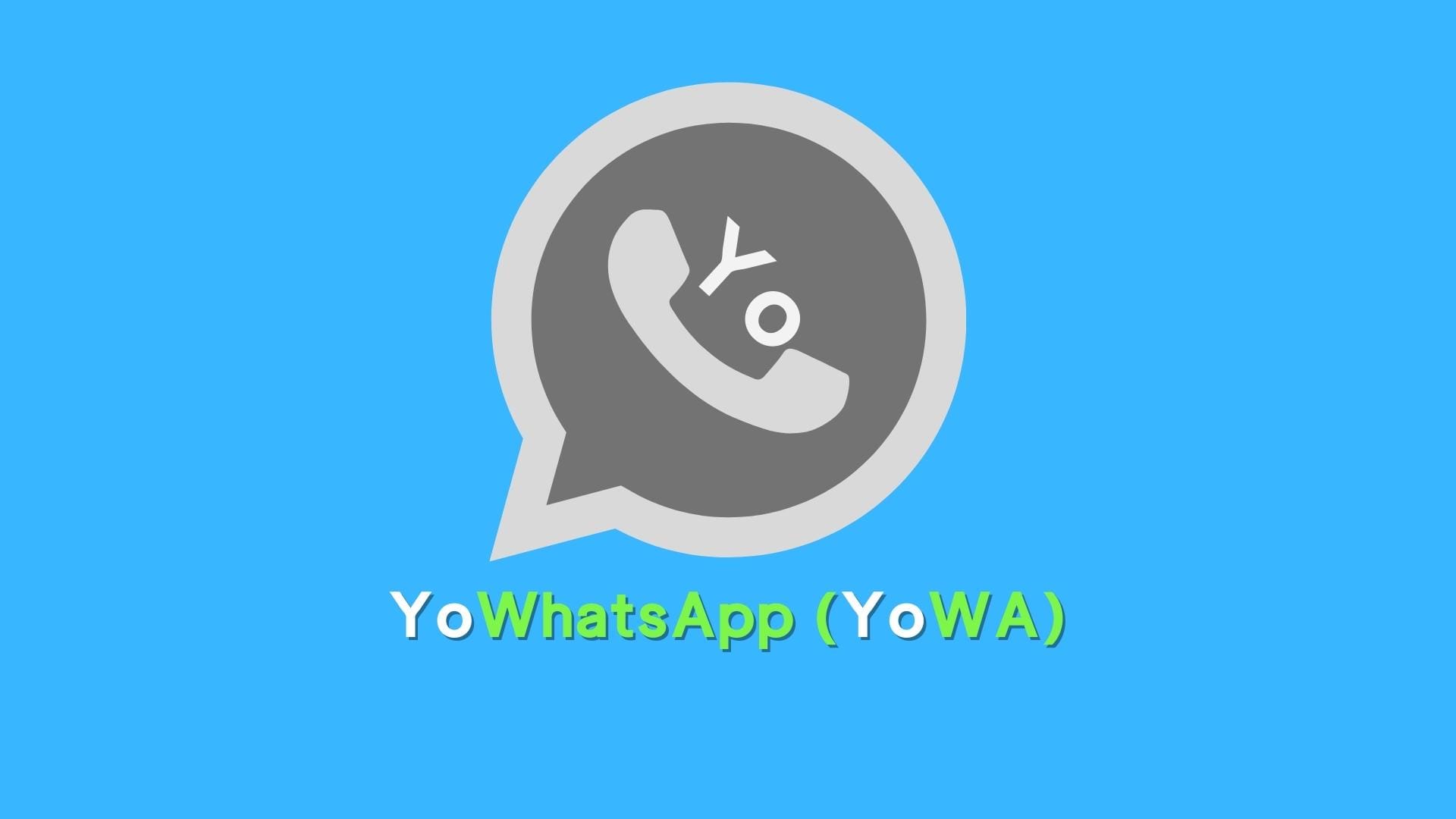 Download YoWhatsApp Versi Terbaru