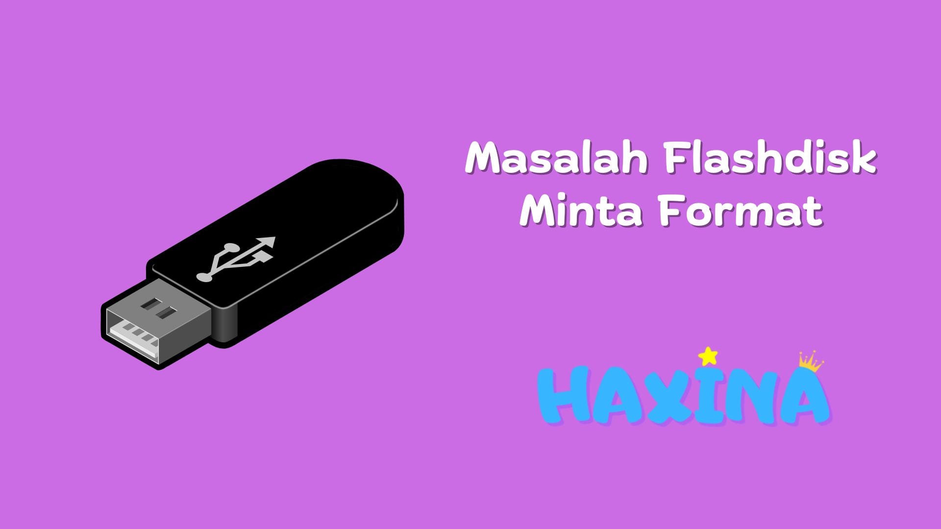 Flashdisk Minta Format
