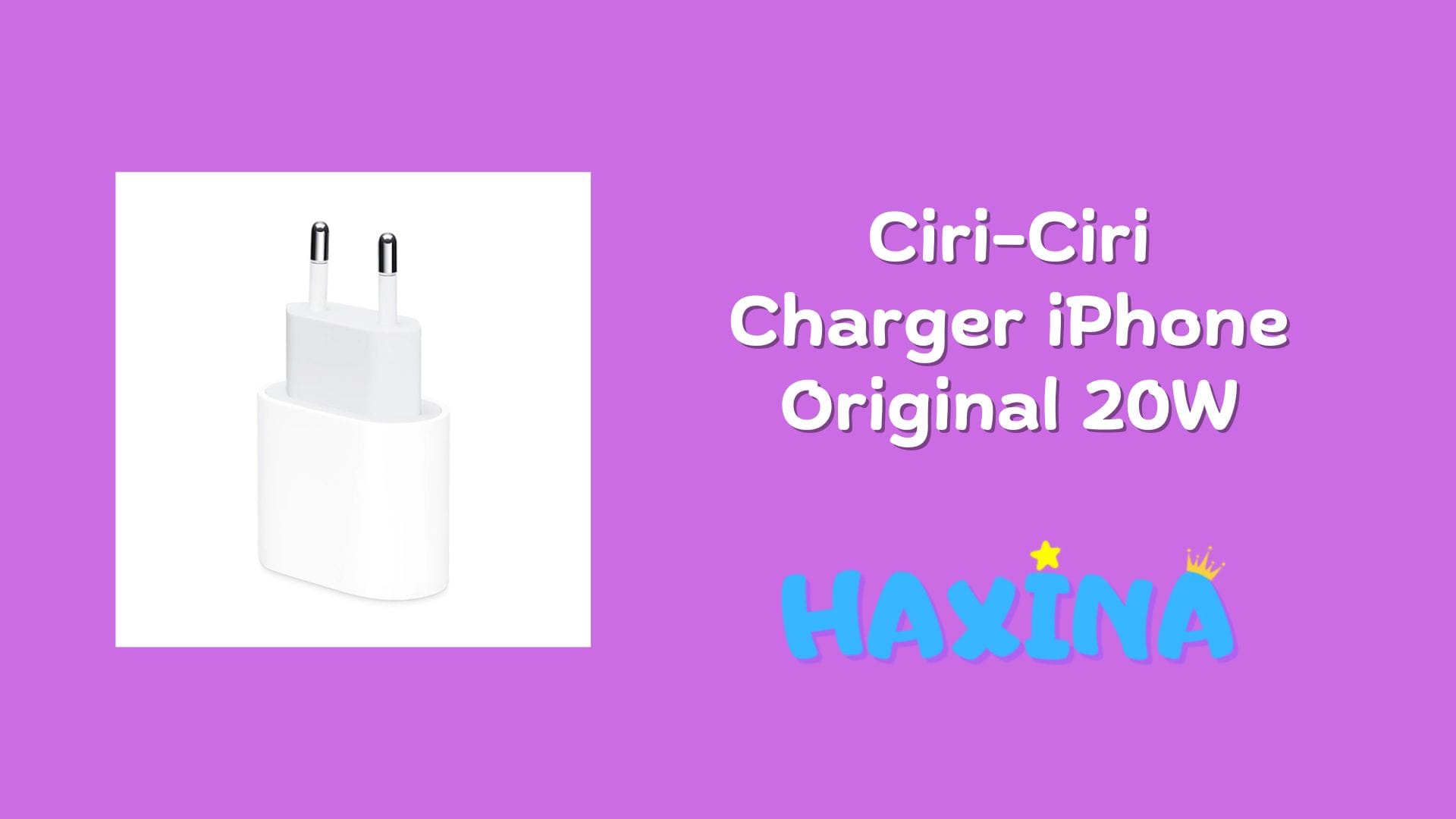 Ciri-Ciri Charger iPhone Ori 20W