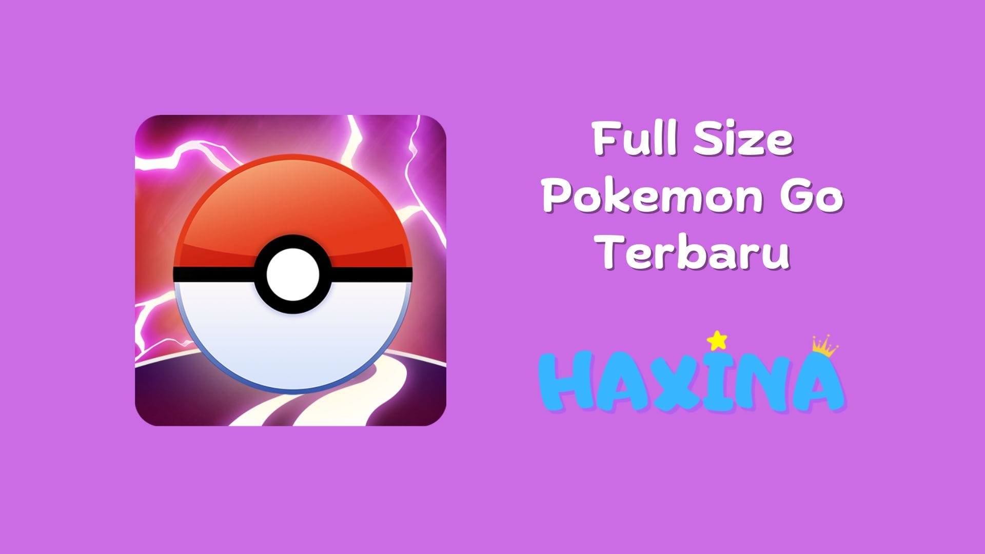 Full Size Pokemon Go